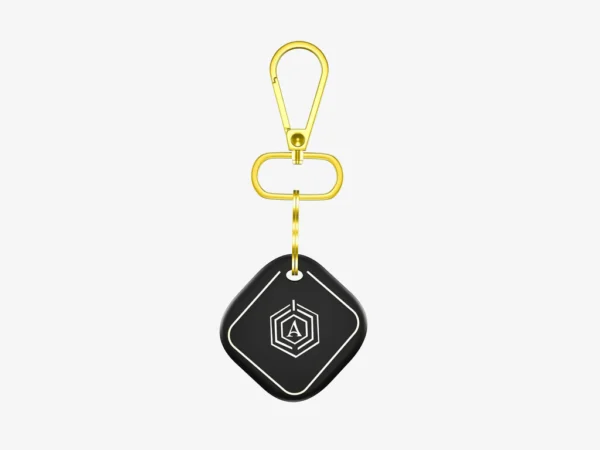 Smart Key Chain